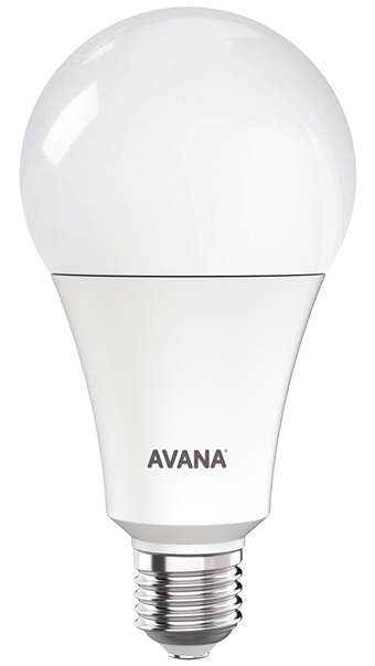 Regular Bulb
